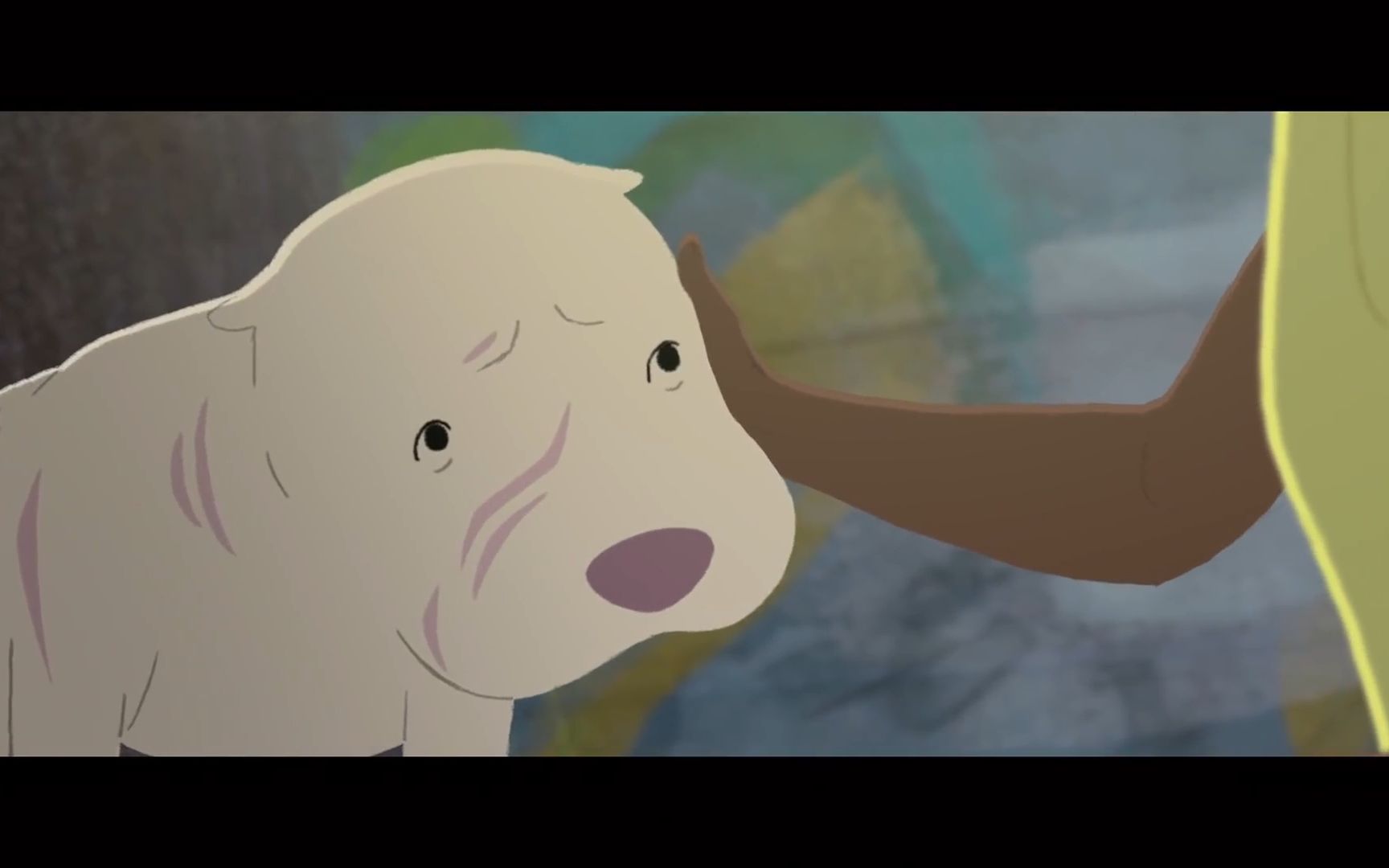 【动画拉片】领养代替购买,每一个生命都值得被温柔以待