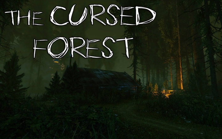 [图]【恐怖游戏】《The Cursed Forest 被诅咒的森林》实况 P2