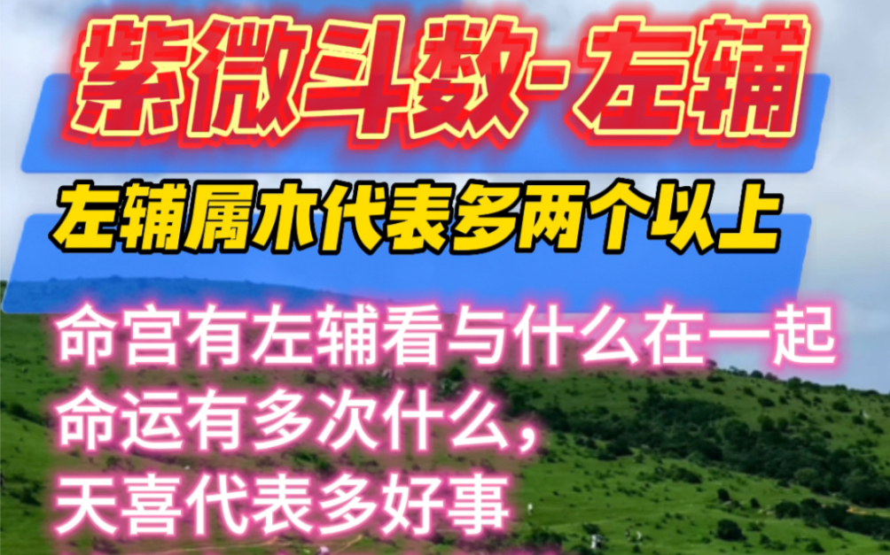 紫微斗数左辅,代表多 两个以上属于木,可以表示往左,左边命宫有左辅看与什么在一起命运有多次什么,天喜代表多好事;铃星在命是多烦恼天同左辅感...