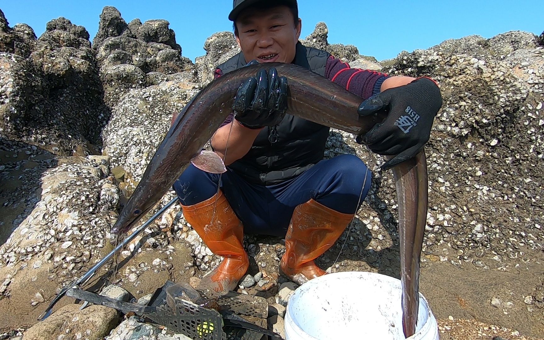 阿灶为赶海探索新海域,水坑里遇到凶猛海货不敢下手,一条就爆桶_哔哩