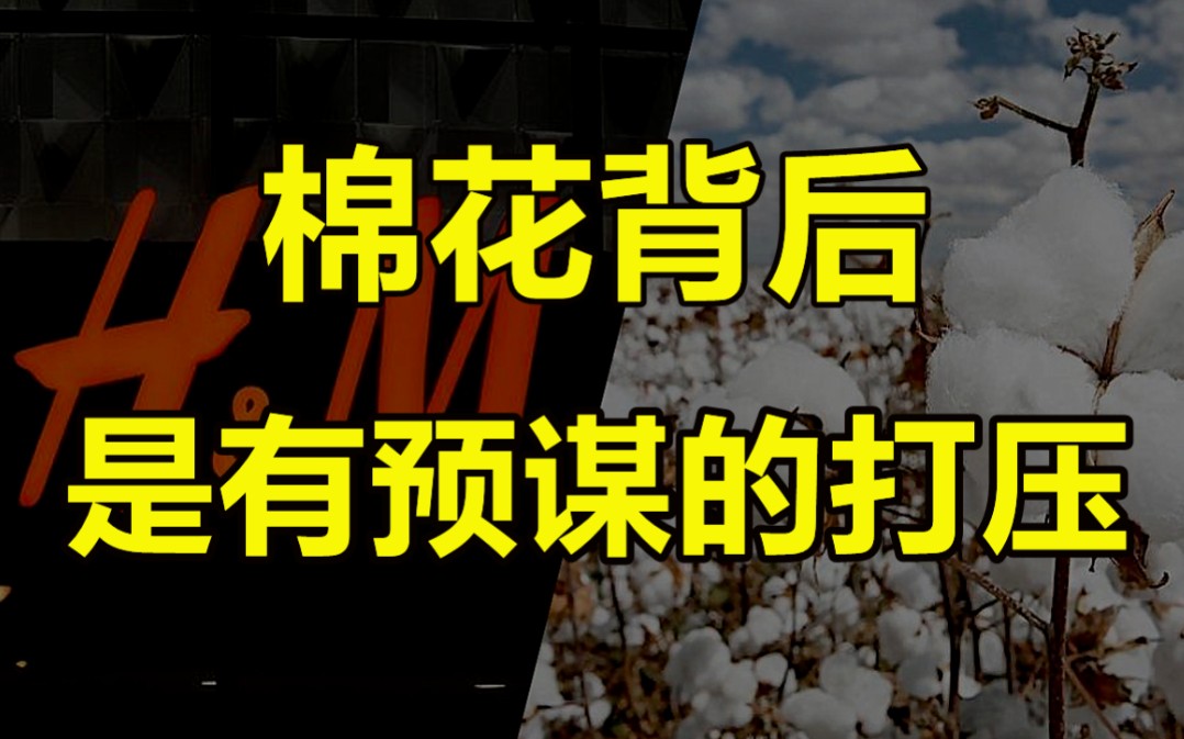 聊聊这次H&M与新疆棉花事件背后的东西,一场有针对的打压!哔哩哔哩bilibili