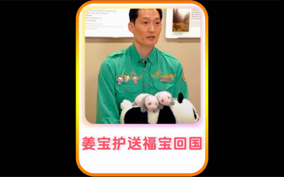 宋宝说由姜宝护送福宝回国,他更专业还懂中文.