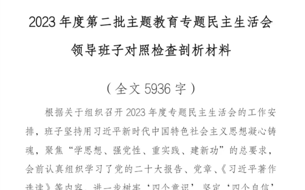 2023年度第二批主题教育专题民主生活会领导班子对照检查剖析材料哔哩哔哩bilibili