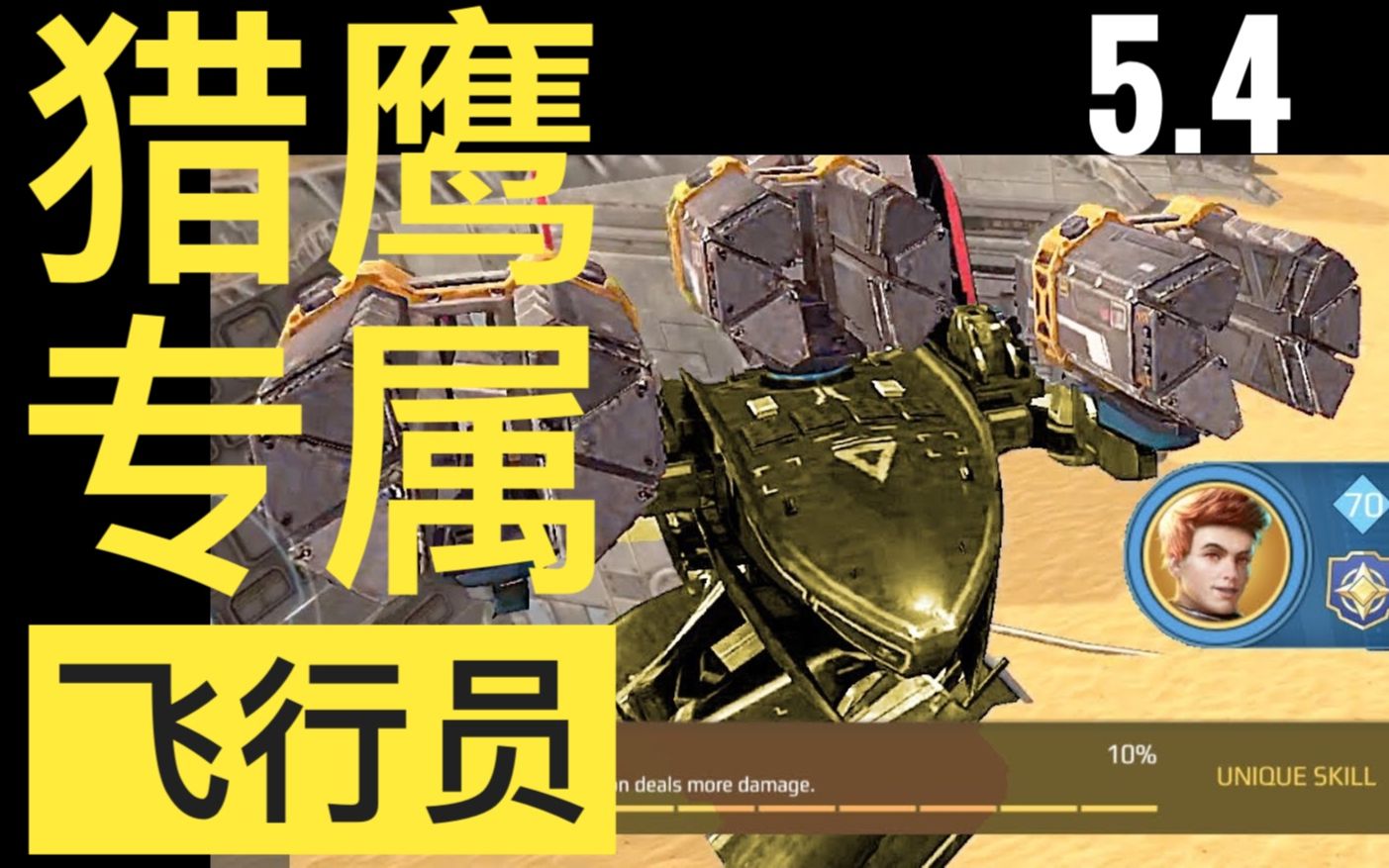 猎鹰专属飞行员装配效果warrobotswarrobotswwrwr