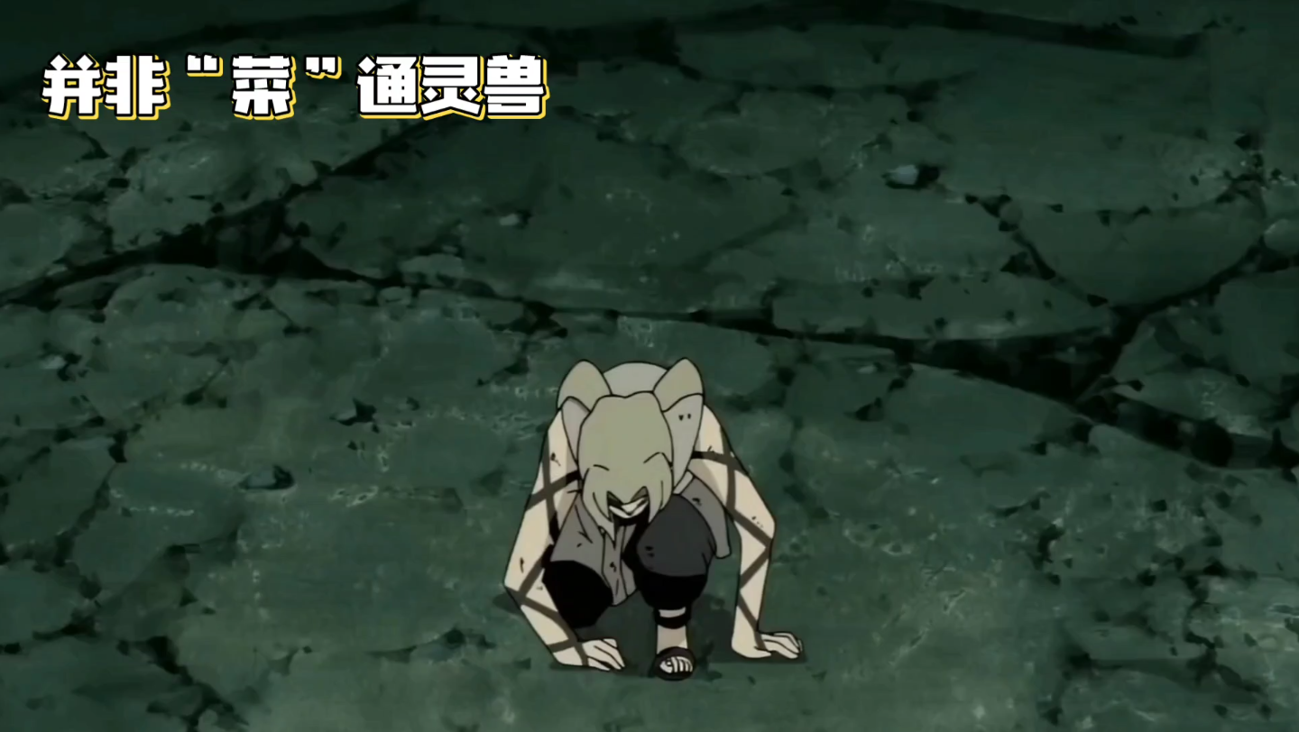 蛞蝓:被低估的强大通灵兽