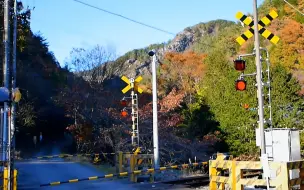 【日本铁道】【踏切风景】わたらせ渓谷線踏切11