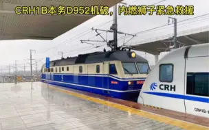 Descargar video: 突发！D952次列车（本务CRH1B-1042）机破，仙林-宝华区间。热备机车东风11狮子紧急驰援救援，及时处理确保京沪线正常运行。