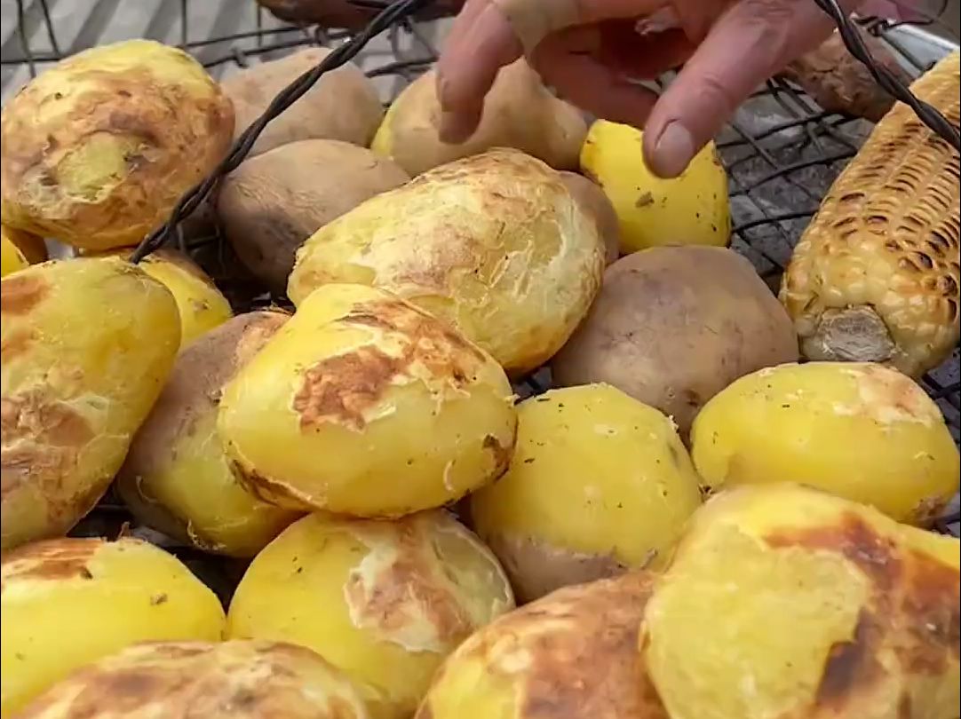 你吃过烤洋芋吗?