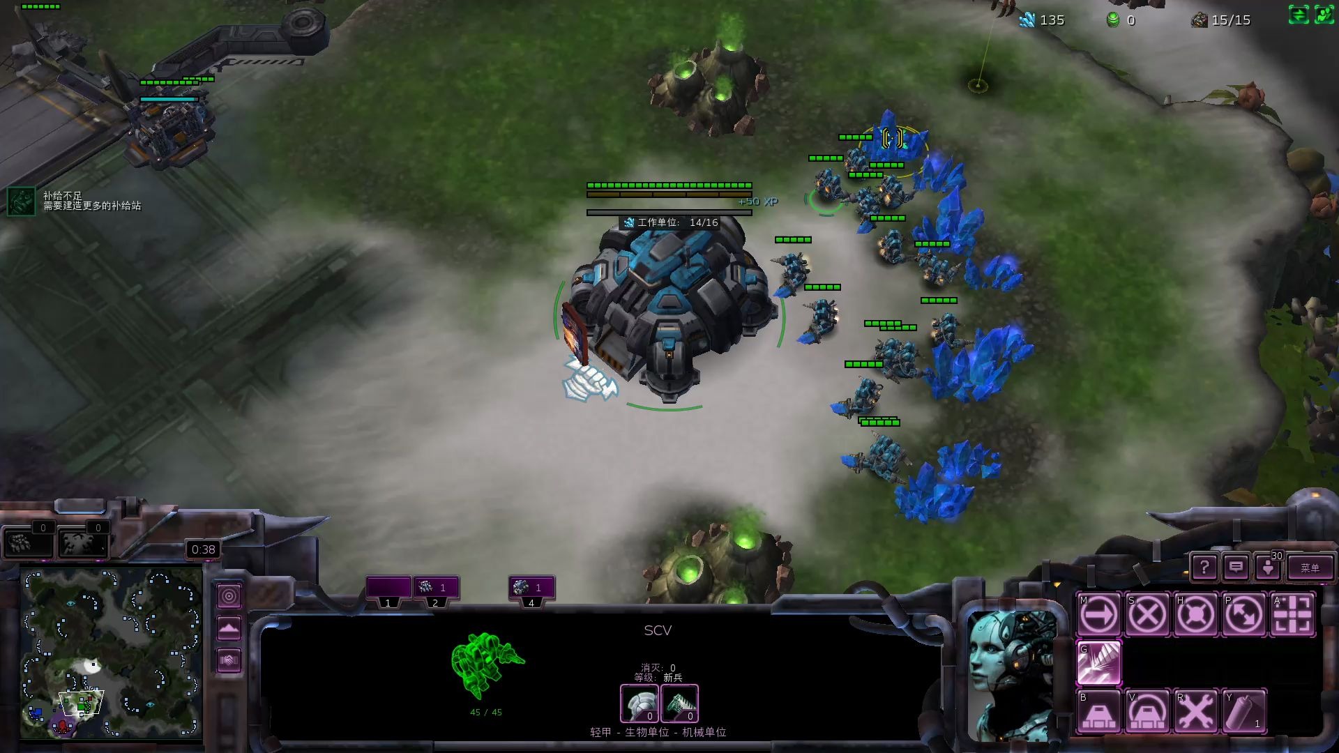 星际争霸23v3f91macsed韭菜