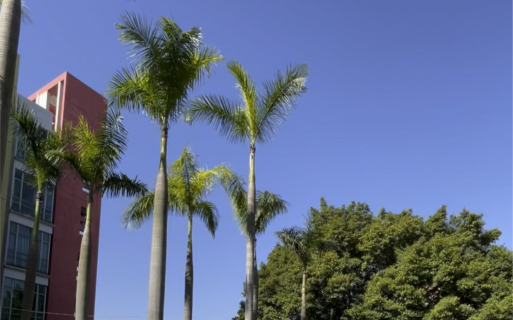 广州天河龙洞保利世纪绿洲三层顶复