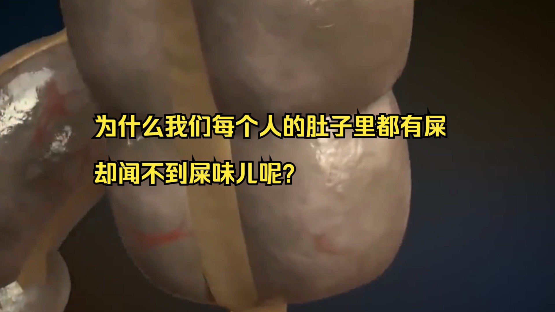 为什么我们每个人的肚子里都有屎,却闻不到屎味儿呢?哔哩哔哩bilibili