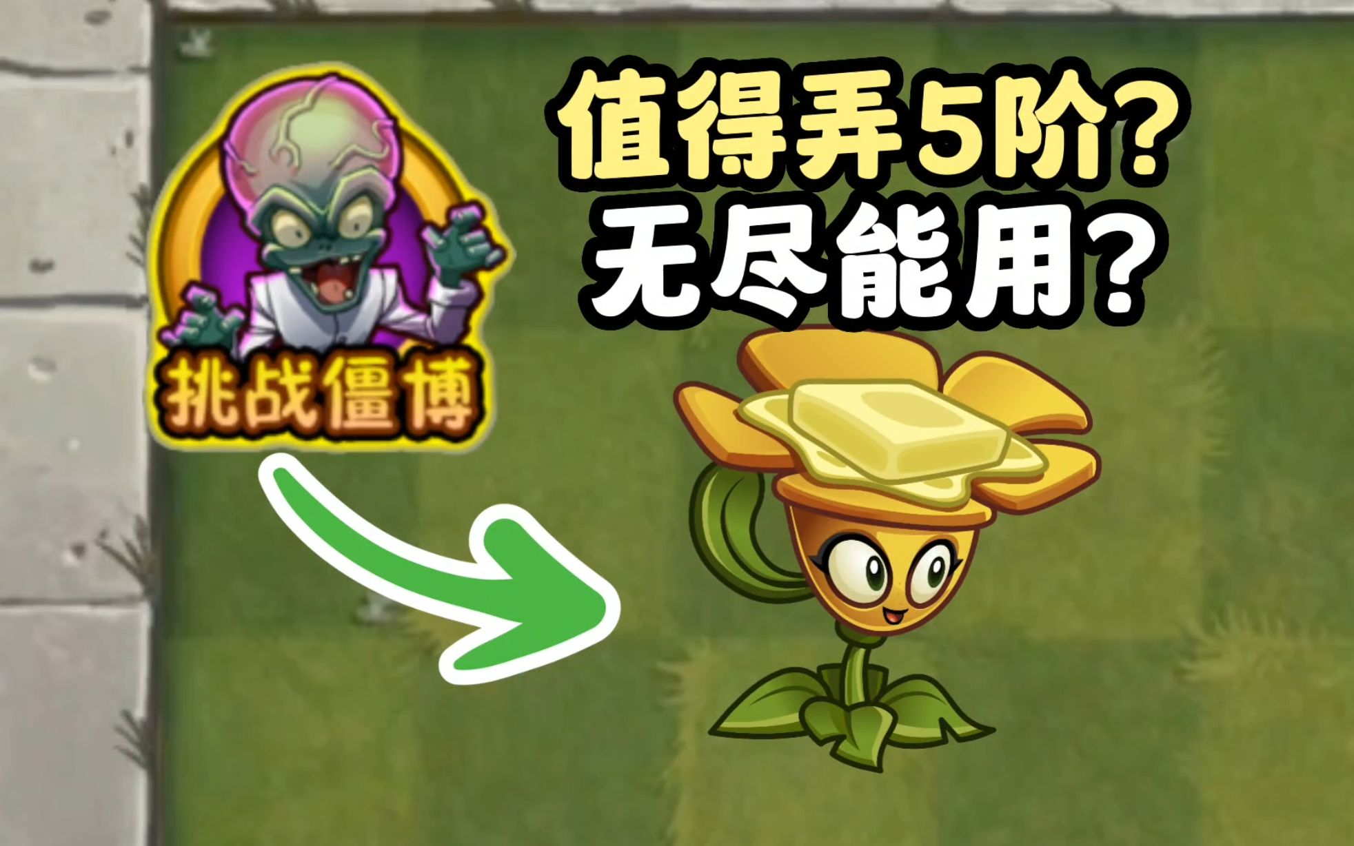 pvz2:黄油毛茛上线僵博挑战,值得弄5阶嘛?