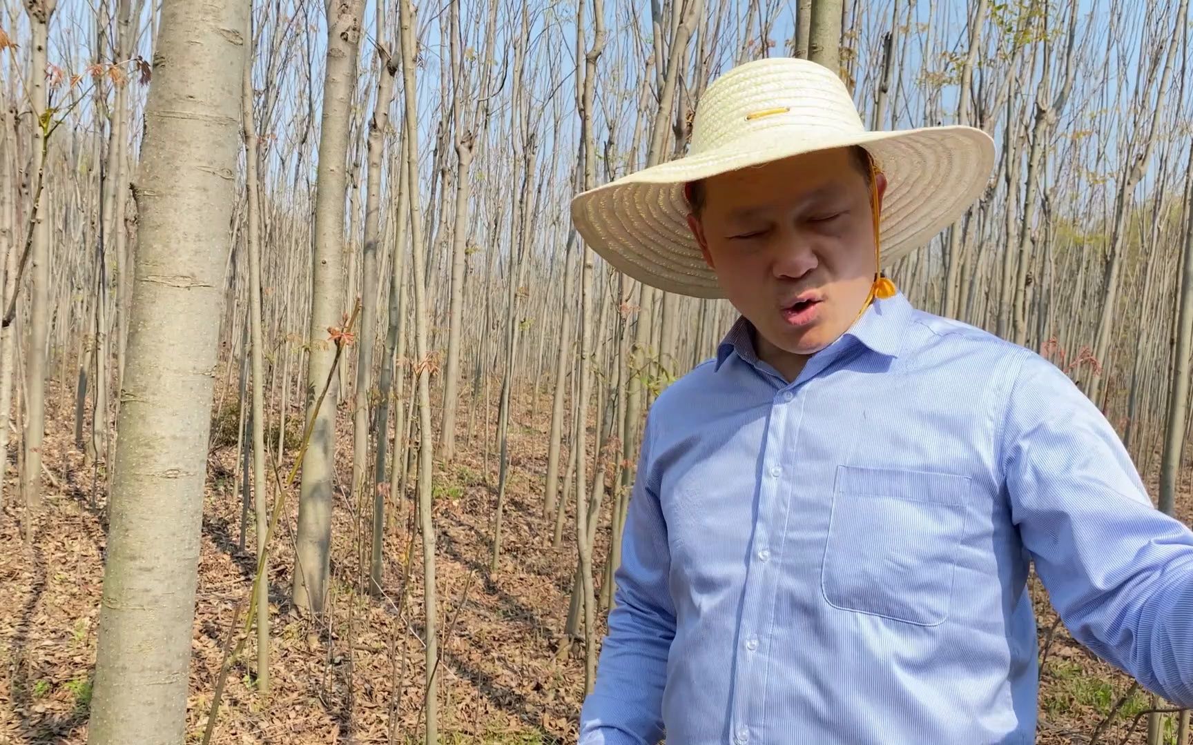 甲向水出巽方,犯男人短寿多出寡妇,这个地方果然应验了哔哩哔哩bilibili