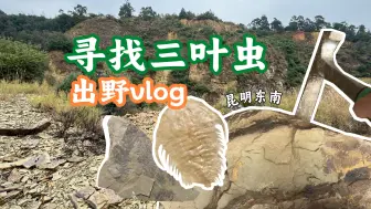 Descargar video: 昆明东郊化石出野VLOG 寻找三叶虫