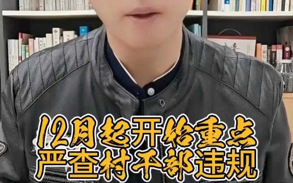 12月起将重点严查村干部4类违规哔哩哔哩bilibili