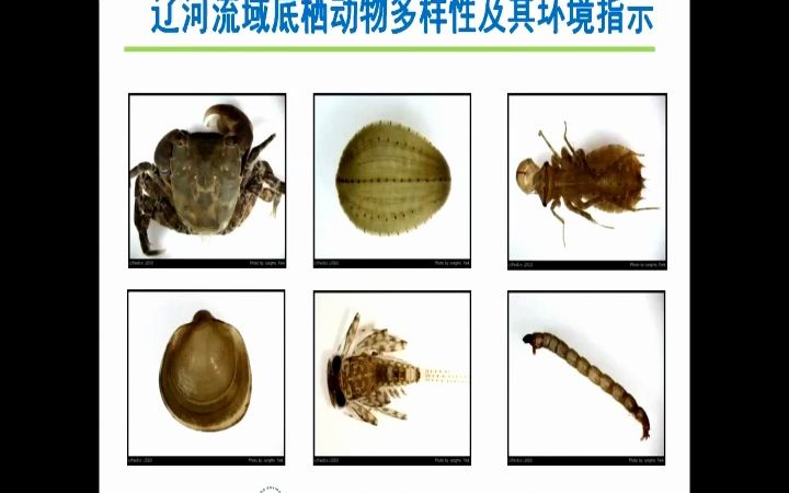 [图]北方辽河流域底栖动物多样性分布及其环境指示