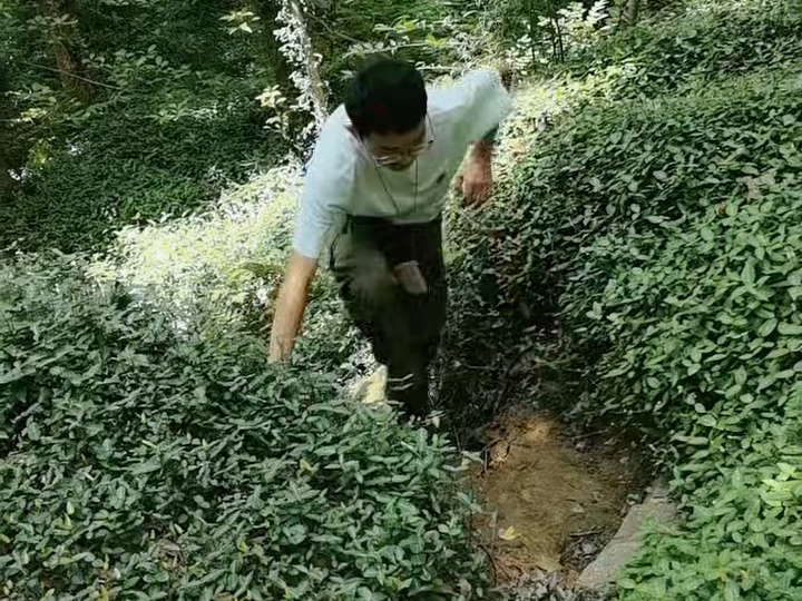 20260826-无锡惠山-人生长路漫漫犹如登山吾将上下而求索