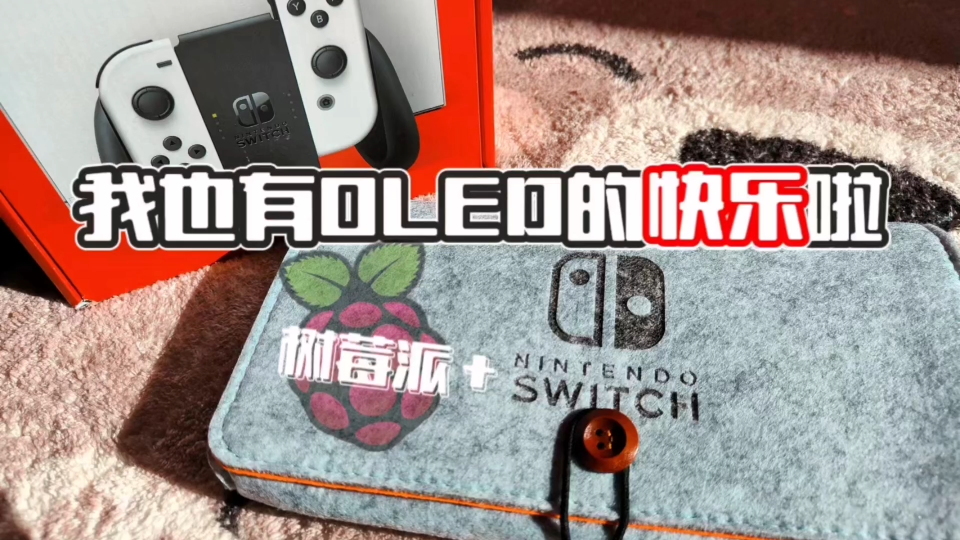 自用的switch oled改机全记录,后来我的快乐没了