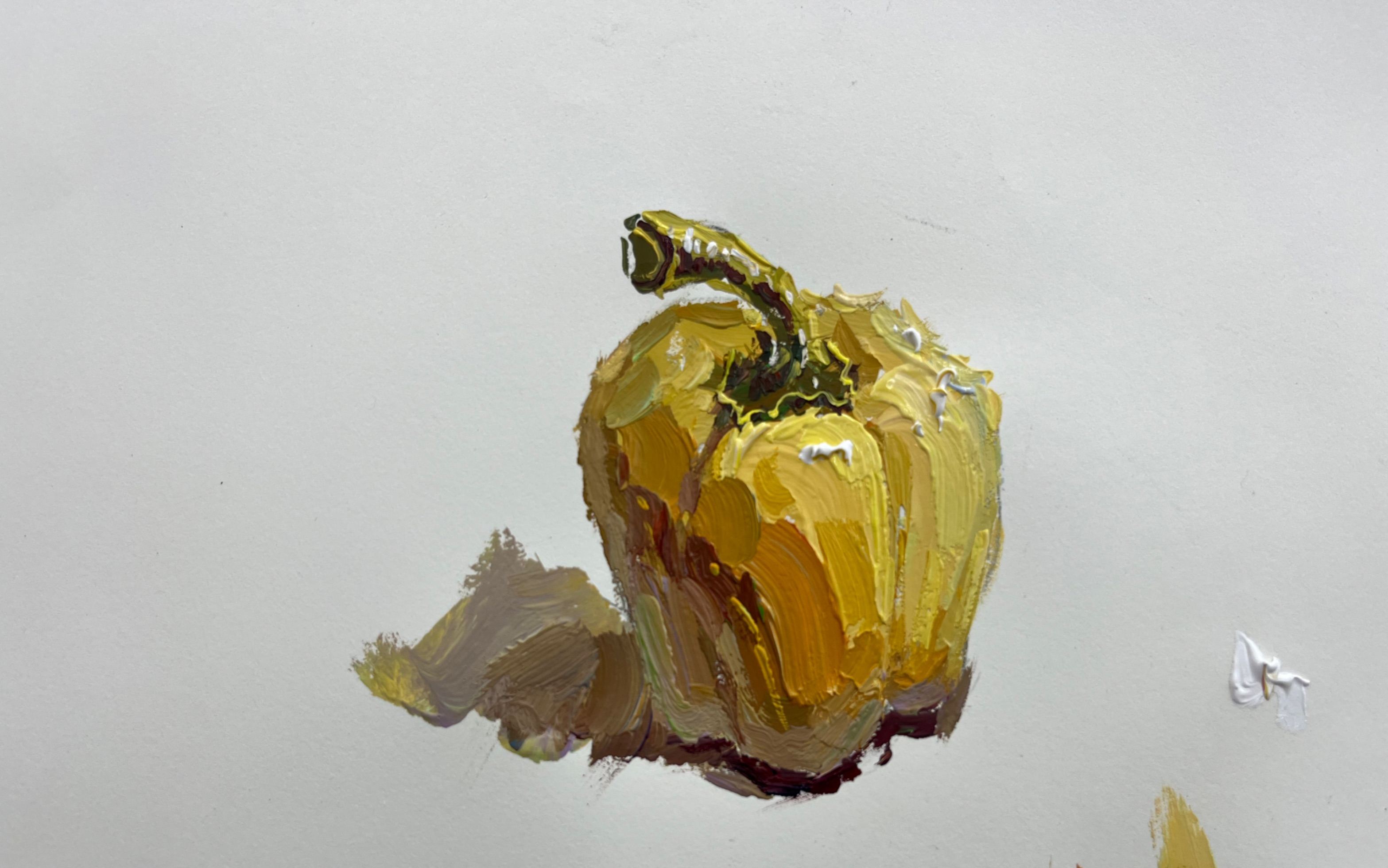 色彩静物-黄色彩椒