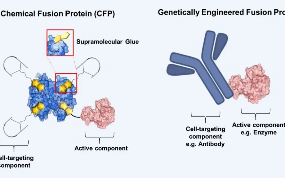融合蛋白的原理及操作合集哔哩哔哩bilibili