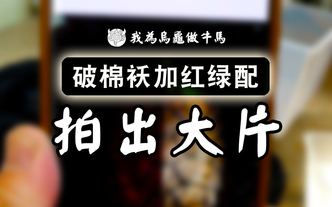 只要一件破棉袄,就能拍出高级龟照片!哔哩哔哩bilibili