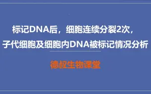 Скачать видео: 标记DNA细胞连续分裂2次，子代细胞以及DNA的标记情况分析