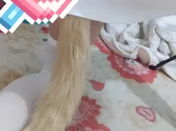 下载视频: 猫娘酱