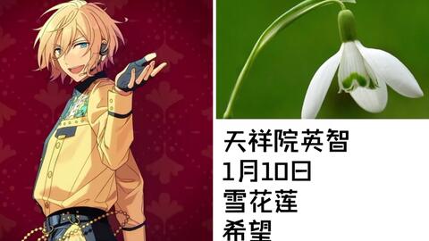 偶像梦幻祭 Es大楼小偶像们的诞生花及花语 哔哩哔哩 Bilibili