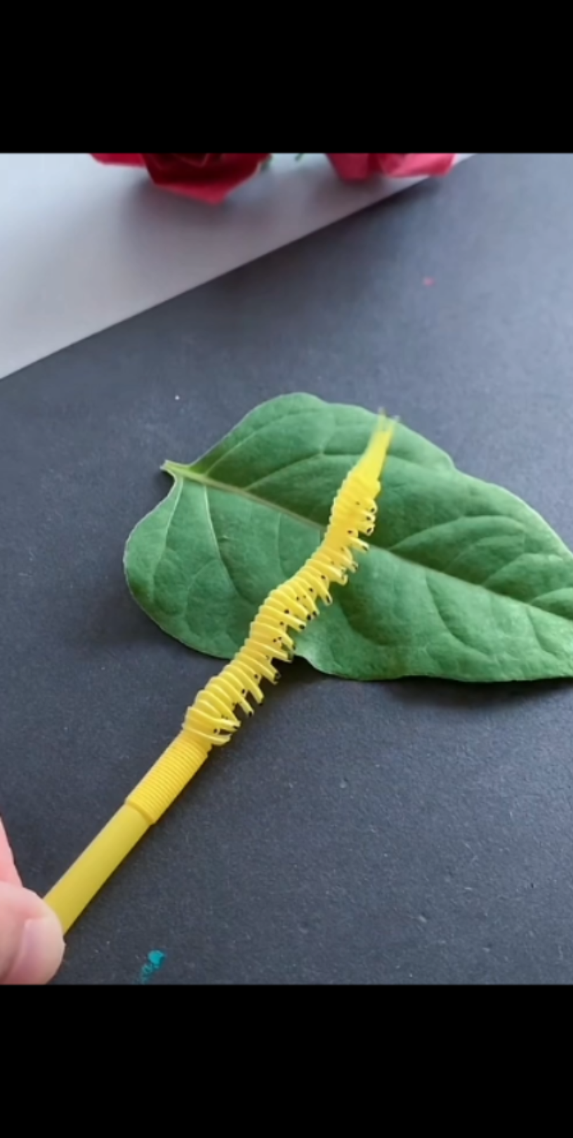 用吸管做一个会动的毛毛虫吧