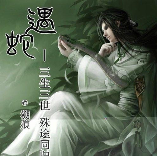 《遇蛇》-伊墨,我与你殊途同归,可好?