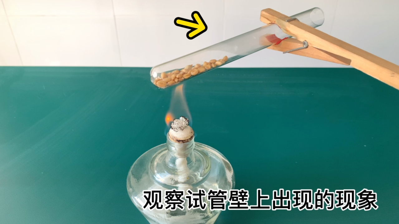 【生物实验】食物中的营养物质第二弹
