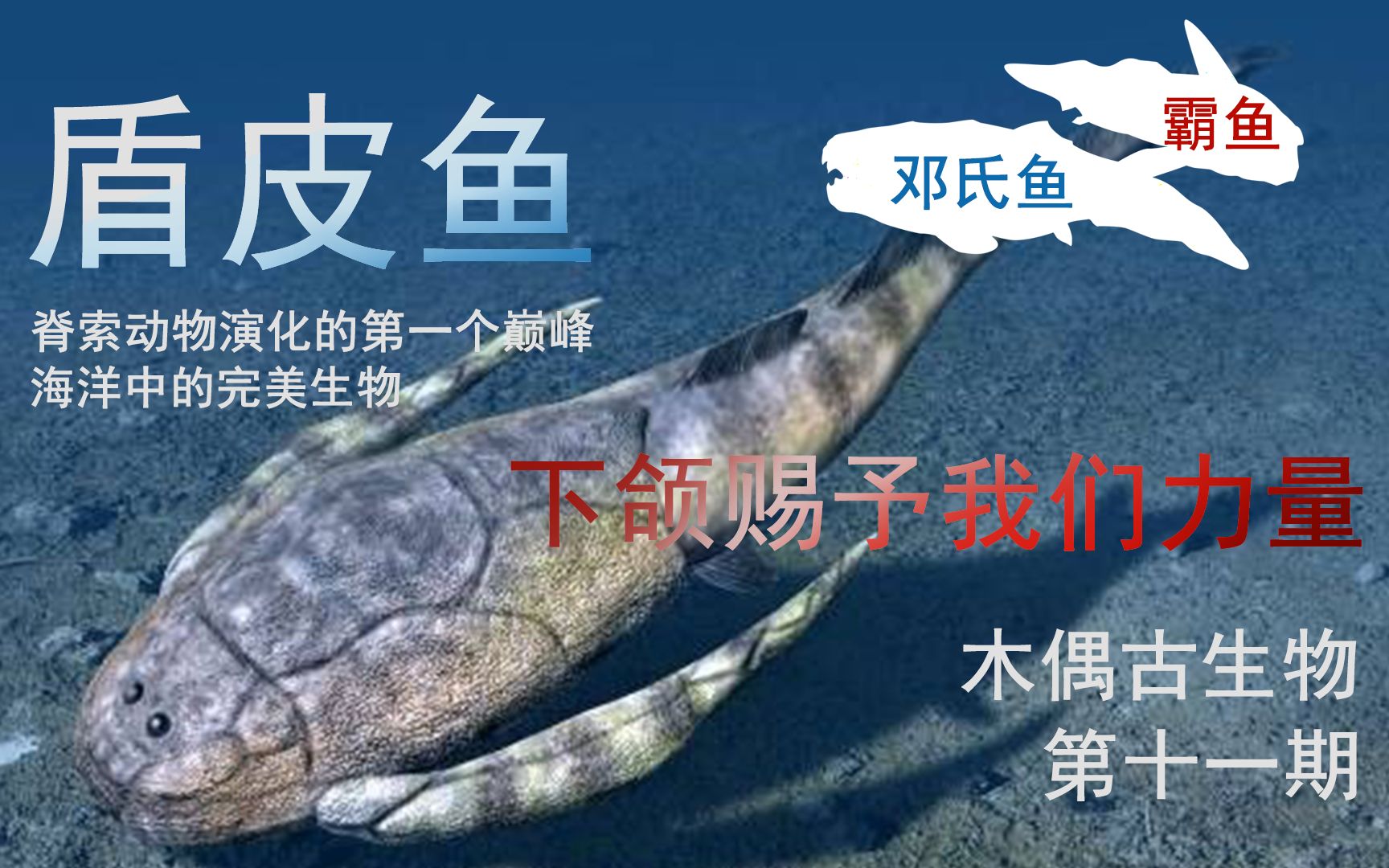 【古生物】盾皮鱼 木偶古生物第十一期哔哩哔哩bilibili