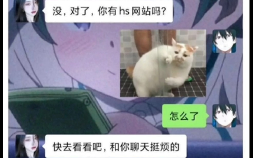 每日搞笑图片85哔哩哔哩bilibili