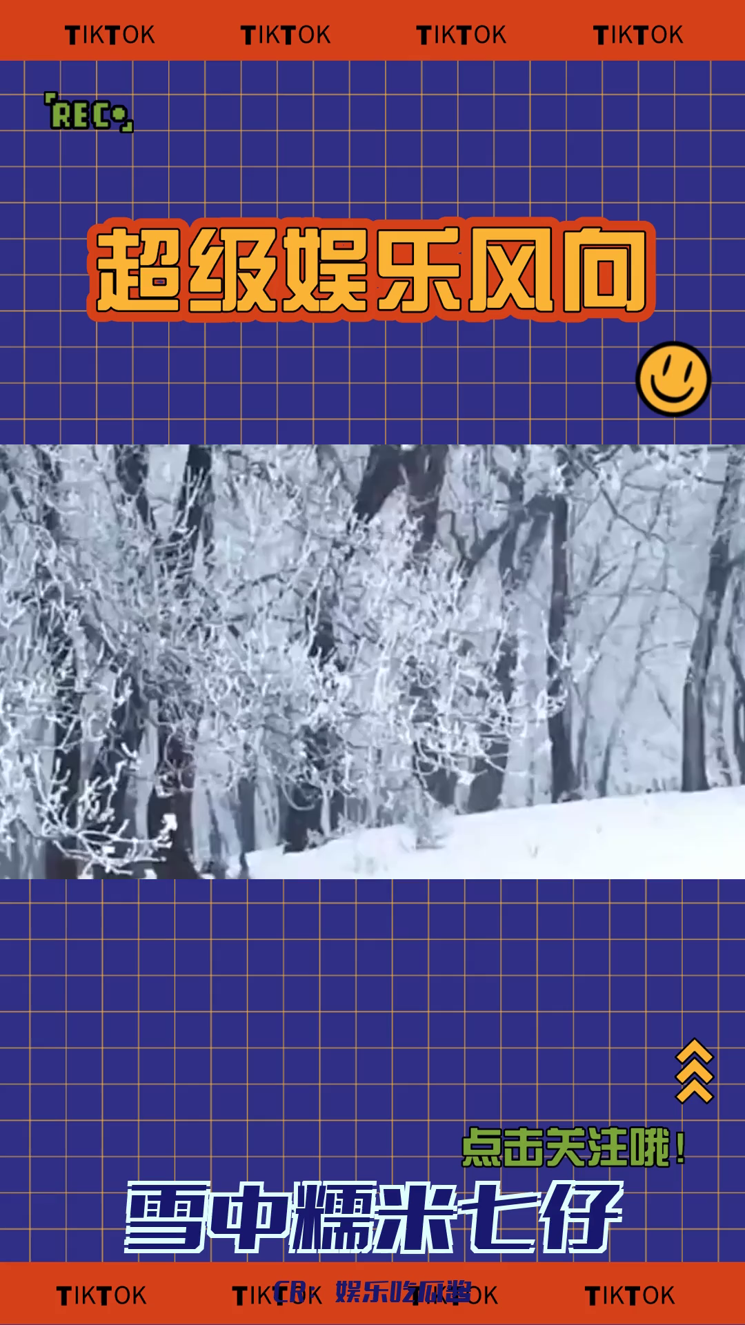 七仔:你们知道吗?我在雪地里一点也不冷哔哩哔哩bilibili