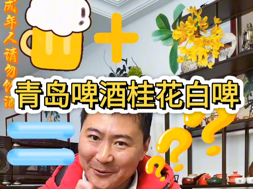 啤酒➕桂花=青岛啤酒桂花白啤(˵¯͒〰¯͒˵)没有青岛白啤好喝!