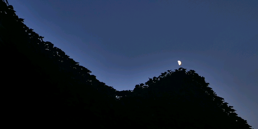 下山的月亮