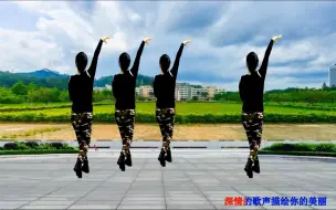 Video herunterladen: 水兵舞《画你》32步背面带你跳