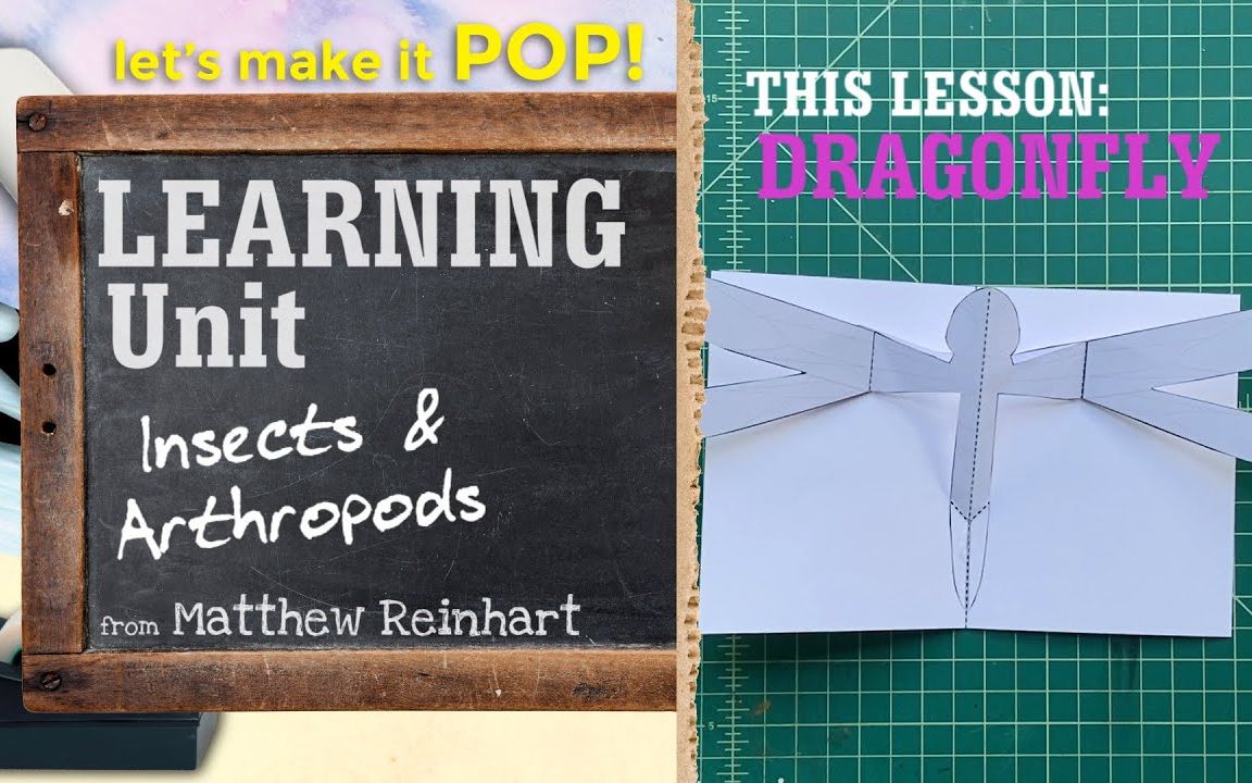 [图]【油管搬运x立体书教程】DIY Learning Unit：Insects and Arthropods from Matthew Reinhart（合集）