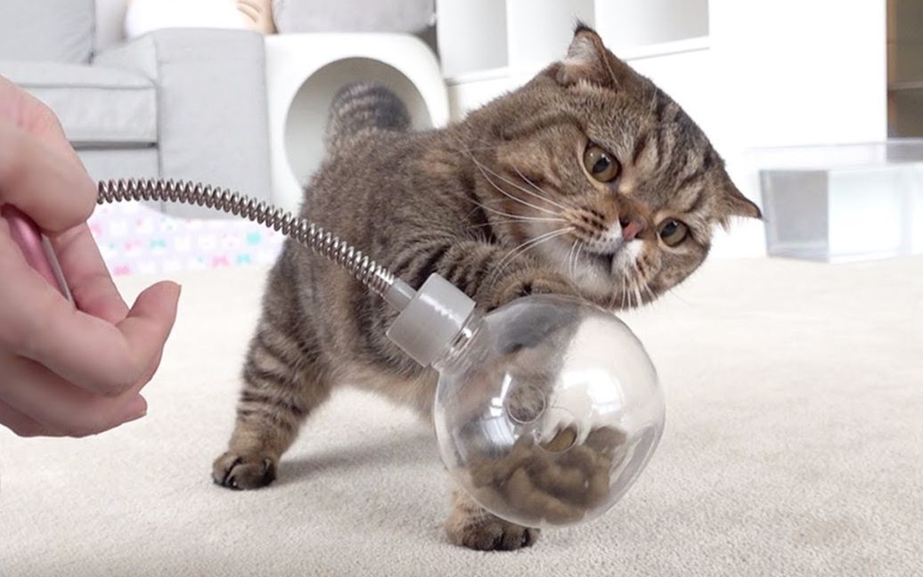 【creamheroes】【中字】lulu最棒