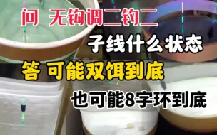 Download Video: 问 无钩调二钓二，子线什么状态？答，可能双饵到底可能8字环到底