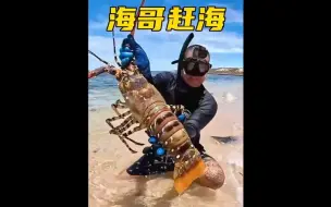 破解版赶海，海哥带我们去抓巨无霸青蟹和龙虾