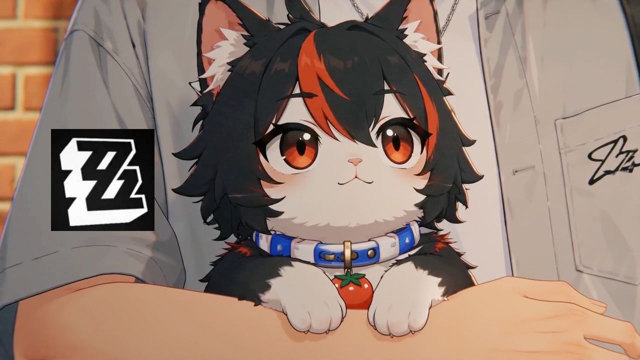 猫猫专题封面