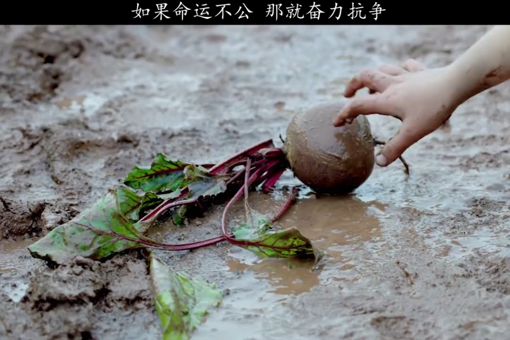 既然命运不公,那就奋起反抗!