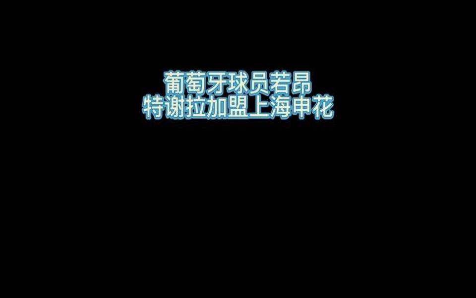 葡萄牙球员若昂特谢拉加盟上海申花!上海申花中国足球哔哩哔哩bilibili