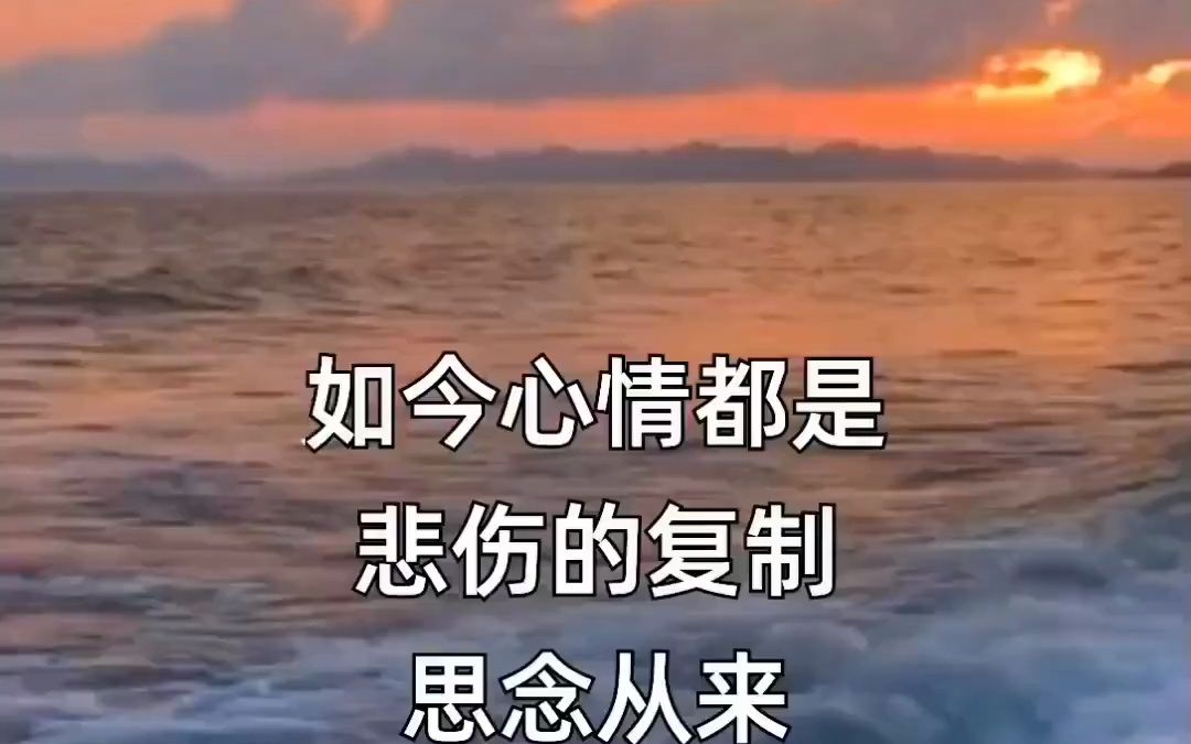 流浪在没有你的城市哔哩哔哩bilibili