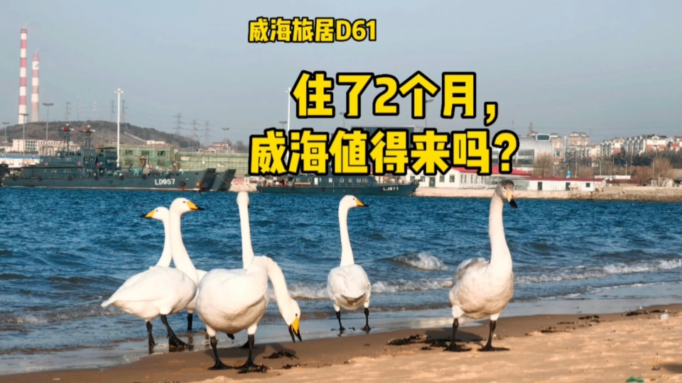 威海旅居2个月,一分钟告诉你,威海值得来吗?哔哩哔哩bilibili