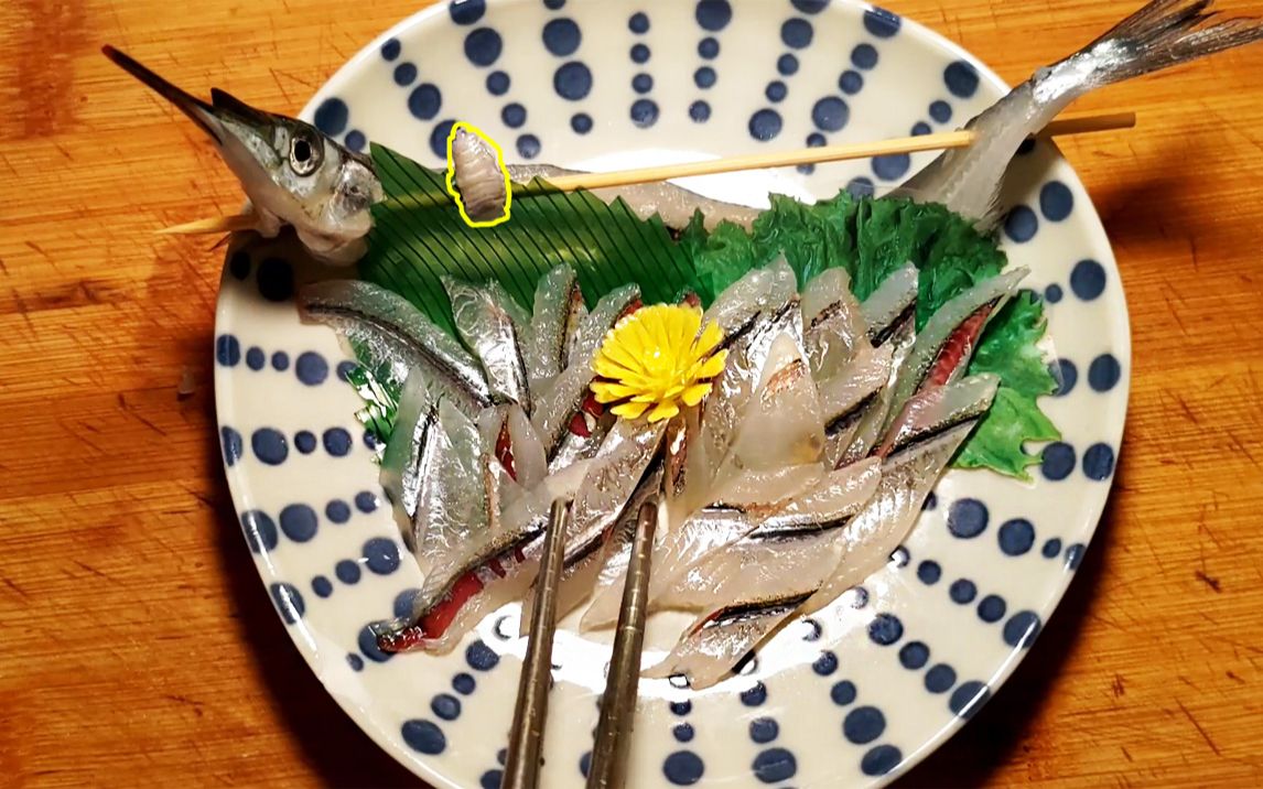 腹黑的针鱼刺身 还扣出个小拉达姆寄生兽