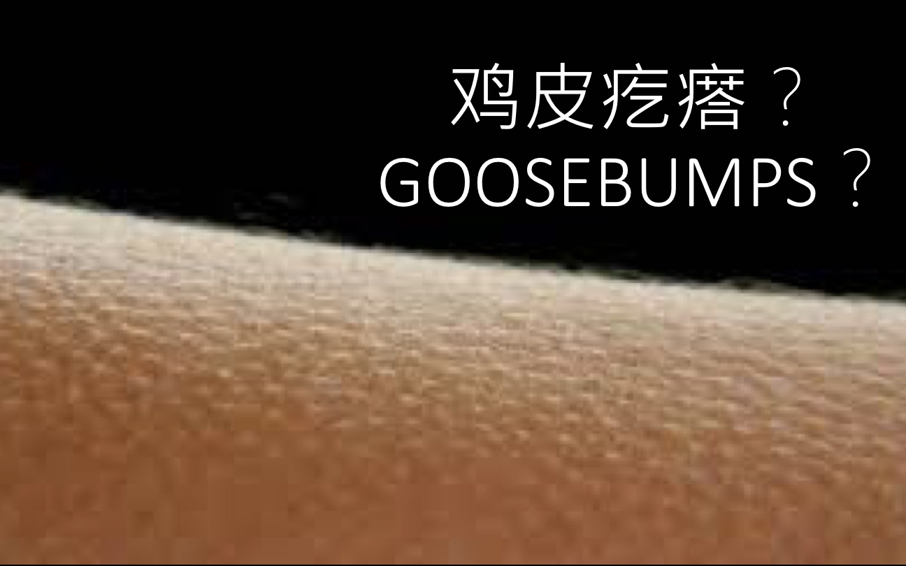 【科普】鸡皮疙瘩Goosebumps是怎么形成的?(全英文)哔哩哔哩bilibili