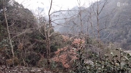 [图]相逢春天的乡村风景 群星