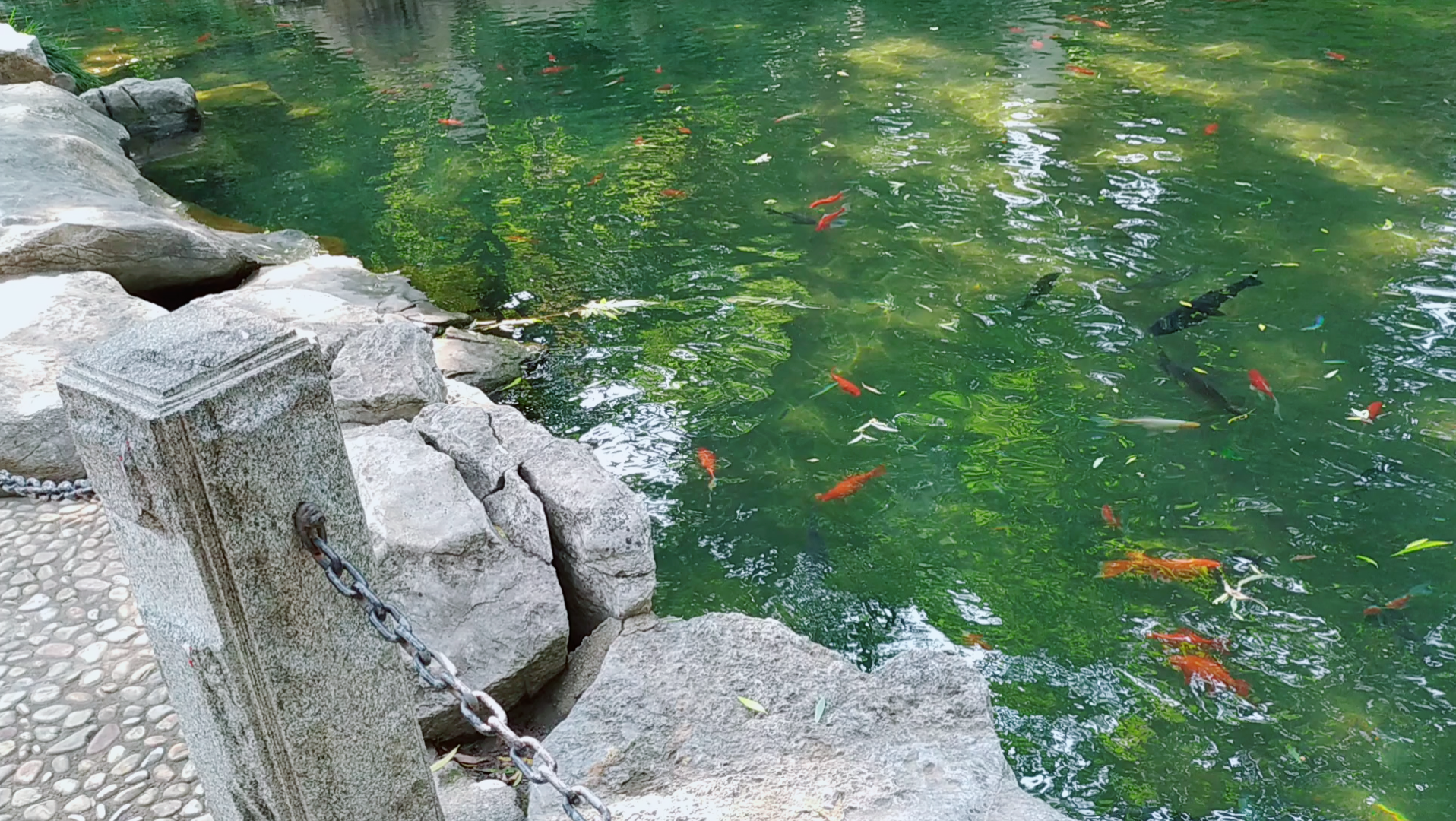 趵突泉72濯缨池